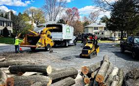 Best Tree Maintenance Programs  in Hawley, PA