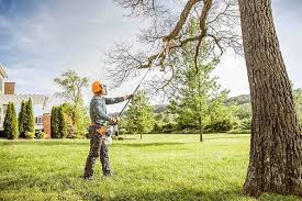 Best Hedge Trimming  in Hawley, PA